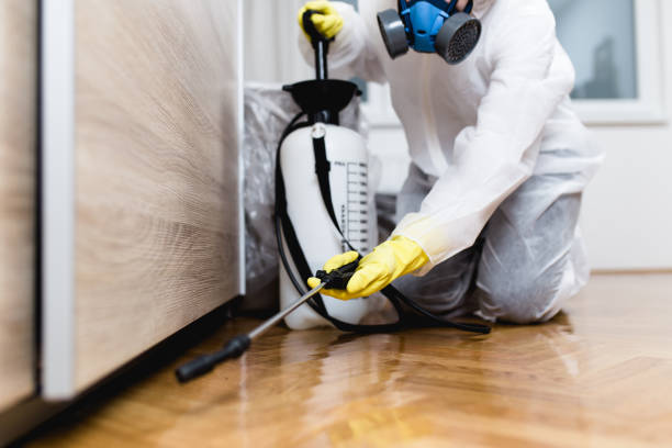 Best Cockroach Control Services  in Perry, MI