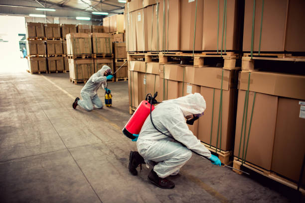 Best Termite Control Services  in Perry, MI