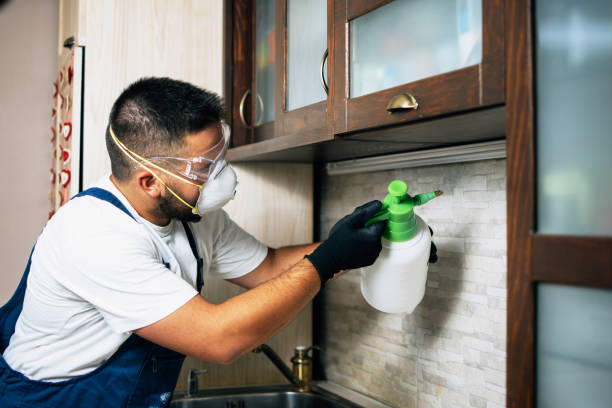 Insect Control in Perry, MI