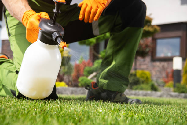 Trusted Perry, MI Pest Control Experts