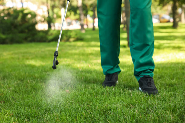 Best Best Pest Control Companies  in Perry, MI