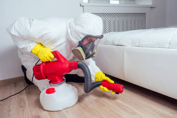 Best Pest Inspection Near Me  in Perry, MI