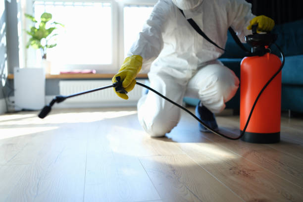 Best Wasp Removal Services  in Perry, MI