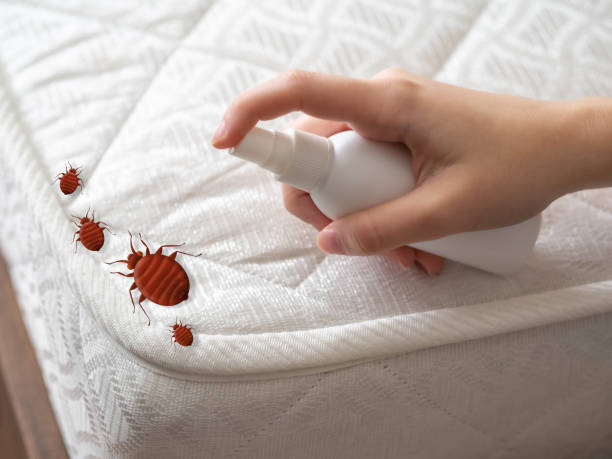 Best Best Pest Control Companies  in Perry, MI