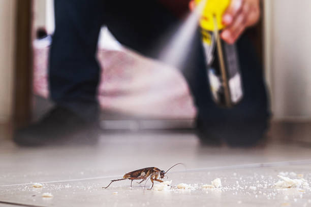 Best Rodent Control Near Me  in Perry, MI