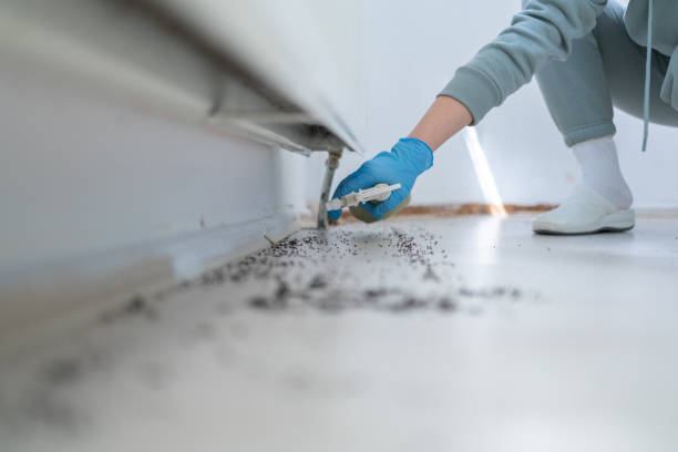 Best Rodent Control Near Me  in Perry, MI