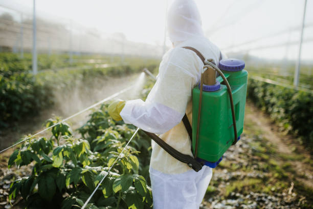 Best Best Pest Control Companies  in Perry, MI